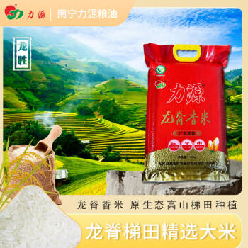 力源龙脊香米10斤 梯田大米丝苗米广西一级籼米当季新米 端午送礼 /粮油调味 /米 /丝苗米 商品图1