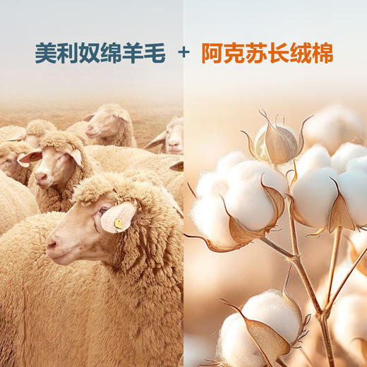 【大师绵柔】绵羊毛裸肌空气层透气针织POLO衫255Z0P925S[门店专款] 商品图3