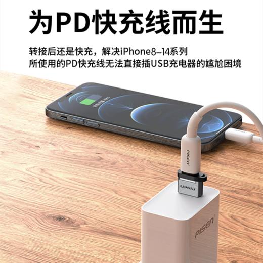 品胜usb转typec转接头充电转换器PD苹果16/15手机平板电脑数据线耳机U盘下载1个 商品图2