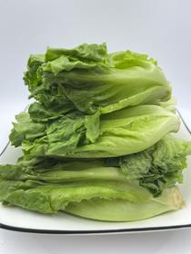 朴愿甄选   高原生菜苗   250克