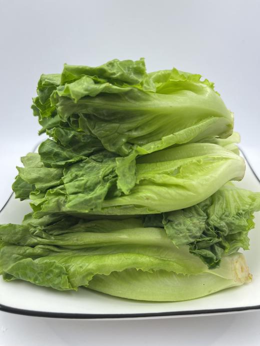 朴愿甄选   高原生菜苗   250克 商品图0