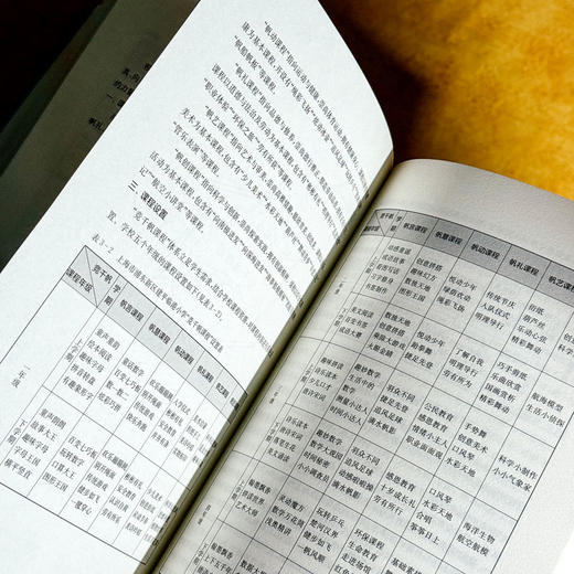 “一校一策”课程实施 李百艳 刘玉华 学校课程发展模式构建 商品图11