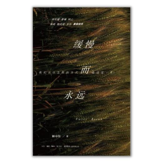 缓慢而永远丨姬中宪 著 一部照见你我的文学佳作孙甘露,鲁敏,阿乙,张莉,杨庆祥,木叶,真挚推荐 商品图3