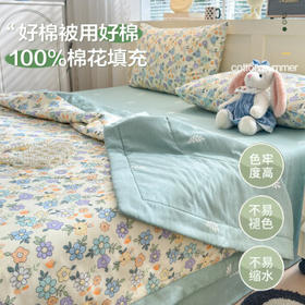 无印良品A类里外全棉100%新疆棉花被子 夏凉被空调被薄被芯 200*230cm