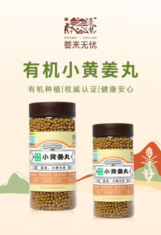 朴愿甄选   有机小黄姜丸 250克/瓶 商品图0