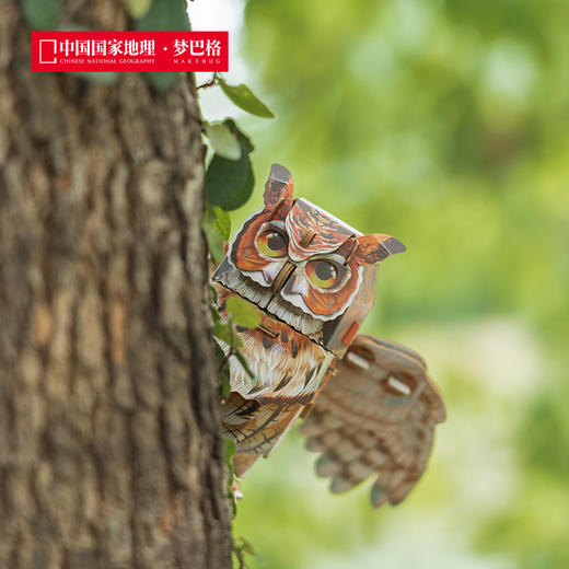 博物文创 飞鸟集系列立体拼插纸模 会发声纸模 益智动脑 雕鸮 主红雀 白头海雕 蜂鸟 冠蓝鸦 商品图5