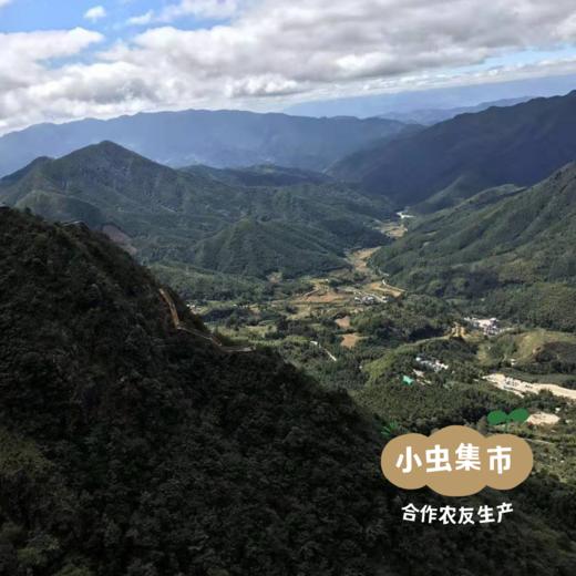 生态四神汤包 440g/袋 | 合作农友生产，产自广东连南瑶族自治县，生产者：张运东 &【公平贸易农人定价】 商品图7