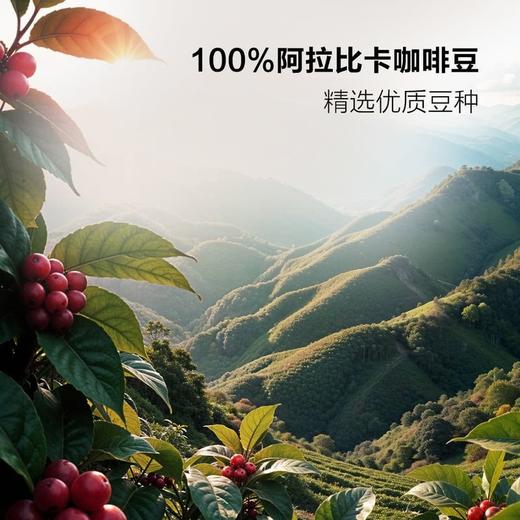 【悦惠精选】摩可纳浓缩咖啡液摩卡风味32条 商品图3