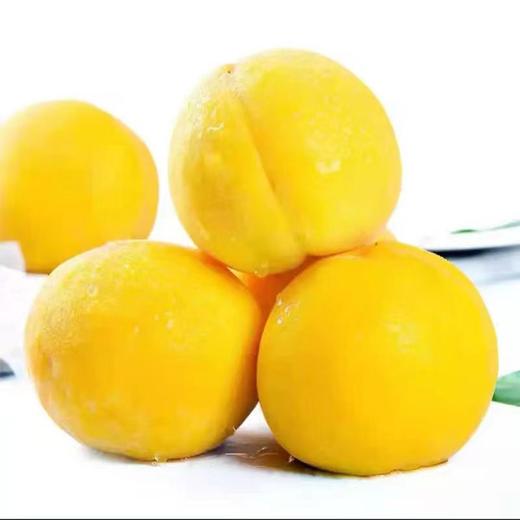 【香甜多汁❗当季新鲜黄桃】一口咬入，肉质紧实而韧，每一口都甜在心里！节水果礼盒，新鲜黄肉毛桃爆甜时令水果L 商品图3