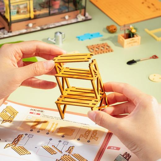 若态DG104凯西花房 商品图4