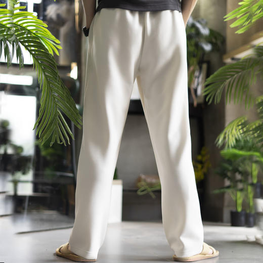 夏季新款速干舒适抗皱型 男士休闲运动裤——两色可选 商品图1