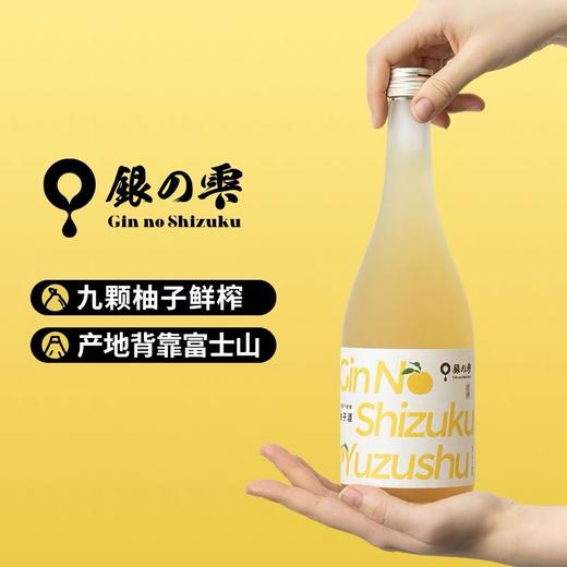 【礼想心动】银雫 九颗柚子纯米柚子酒 720ml 果酒无香精0添加 商品图2