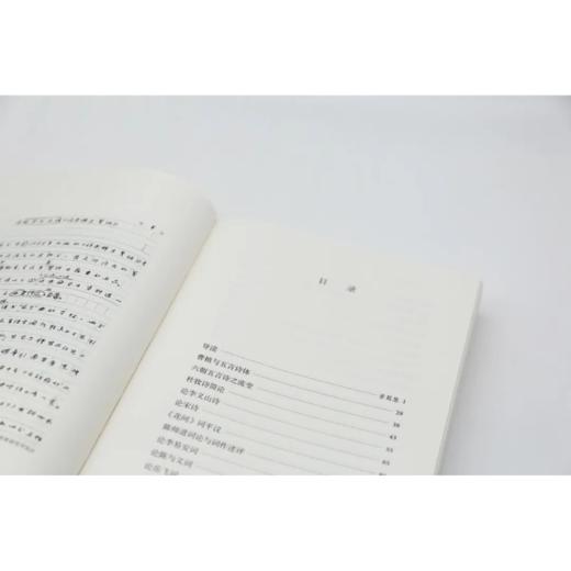 奇气灵光之境丨中国诗词大会学术顾问叶嘉莹先生主编，名家谈诗词系列 商品图7