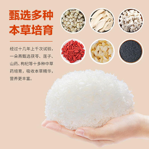 【分仓直发包邮】一朵燕有机本草银耳橙色礼盒80克（高端款） 商品图3