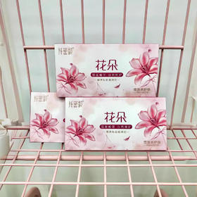 纤密龄雪莲养护贴花朵雪莲贴妇科私处护理贴保养抑菌护垫2片装