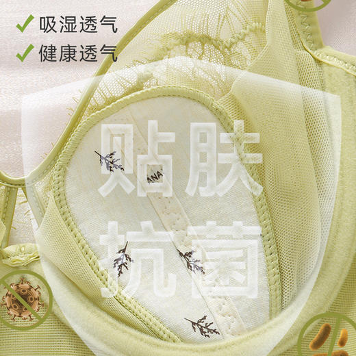 QC-GM6608  兔耳杯薄杯内衣上托透气聚拢性感调整型五排扣软钢圈文胸（单件） 商品图3