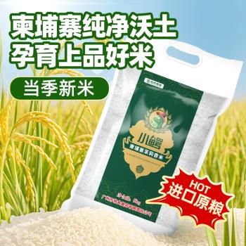 岭南穗粮小鳄柬埔寨茉莉香米  大米 长粒香米10斤 /粮油调味 /米 /泰国香米 商品图3