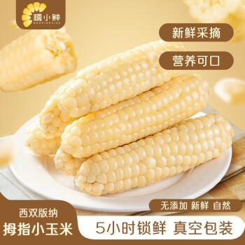 糯小鲜云南拇指玉米1斤（8-10根） 年货西双版纳新玉米儿童早餐宝妈代餐 /粮油调味 /杂粮 /谷米类 商品图1