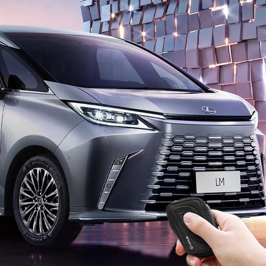 动感格栅LM专属钥匙包（LM车型专属） 商品图2