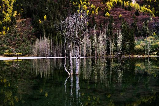 四川米亚罗红叶深度摄影团7天： 蓝天、雪山、彩林、温泉（米亚罗→夹壁村→毕棚沟→古尔沟→梭罗沟→一颗印沟→和日脚沟） 商品图9