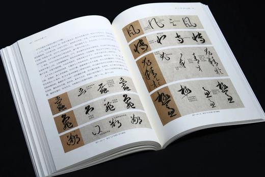 《中国书法临摹十讲》（全视频版），16开，平装，翁志飞著，上海书画出版社2025年一版一印，248页，定价128元，售价98元。 商品图13