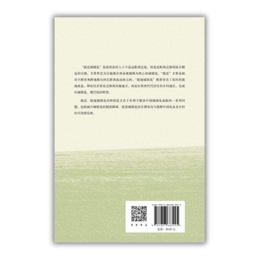 中国就近城镇化和就地城镇化模式研究丨李强教授带领清华大学团队探索中国城镇化新模式 商品图3