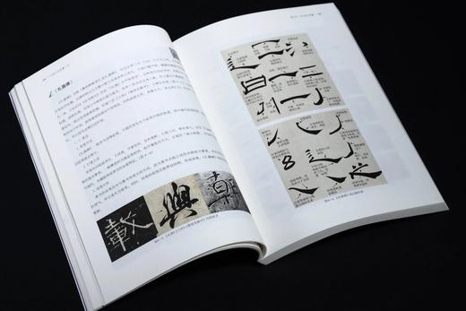《中国书法临摹十讲》（全视频版），16开，平装，翁志飞著，上海书画出版社2025年一版一印，248页，定价128元，售价98元。 商品图4