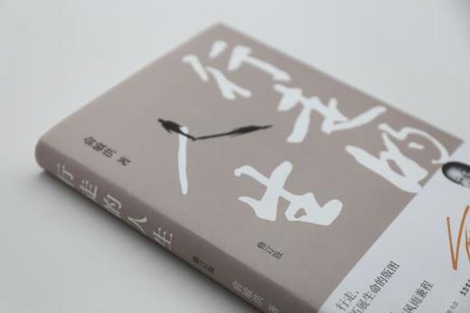 行走的人生（修订版）丨俞敏洪亲笔撰写个人随笔，展现60年来沉淀智慧，不屈从于命运的安排，努力的人一生精彩 商品图3