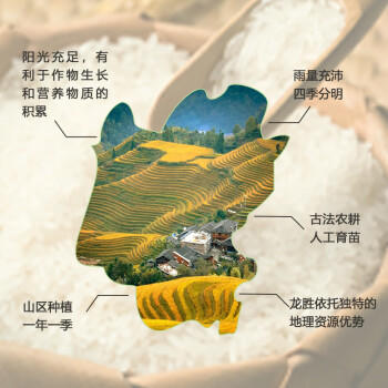 力源龙脊香米10斤 梯田大米丝苗米广西一级籼米当季新米 端午送礼 /粮油调味 /米 /丝苗米 商品图2