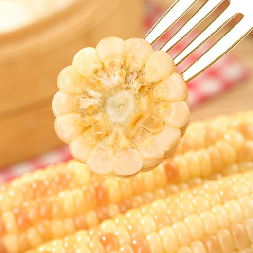 云南西双版纳香糯小花玉米 商品图4