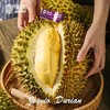 佳沃金枕榴莲A果 约2.5-3kg/个（随机发货，成熟度不同，切勿生开，生开不退不换） 商品缩略图0