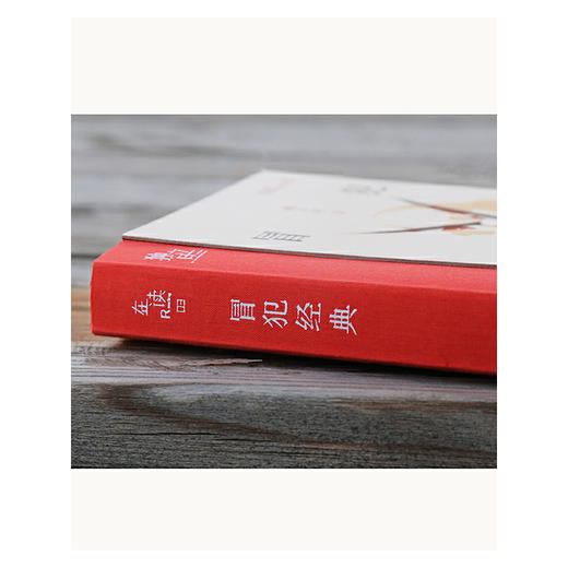 冒犯经典丨魏小河书评集，张佳玮作序推荐！ 商品图6