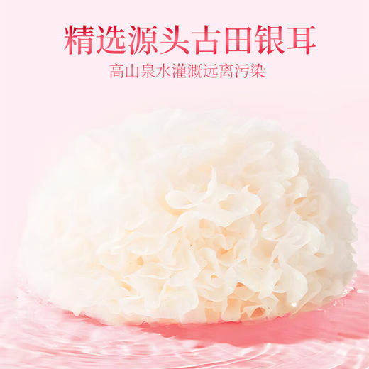 【分仓直发包邮】一朵燕金丝燕窝银耳羹750克 商品图4