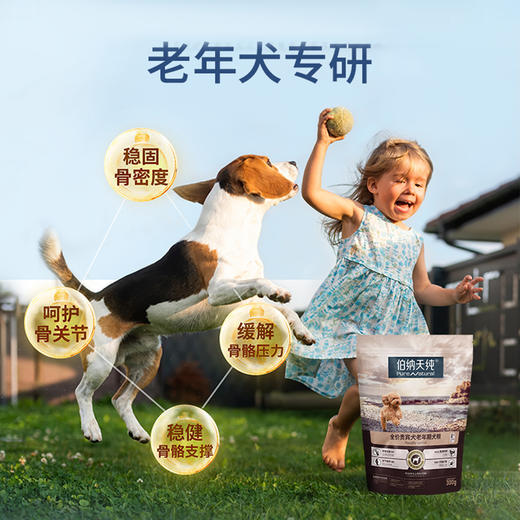 伯纳天纯8岁以上狗粮老年犬专用贵宾泰迪/小型犬/中大型犬全价老年狗粮 商品图2