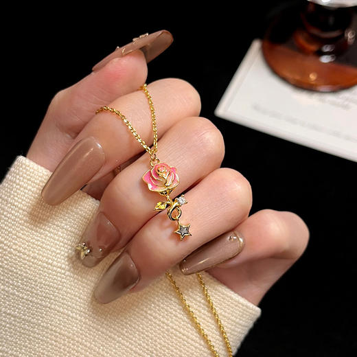 热卖中！！【中国航天科技国际交流中心合作产品】太空造物星辰玫瑰陨石项链 商品图10