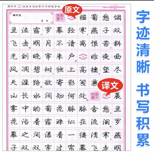 庞中华经典宋词欣赏钢笔字帖（行书） 商品图1