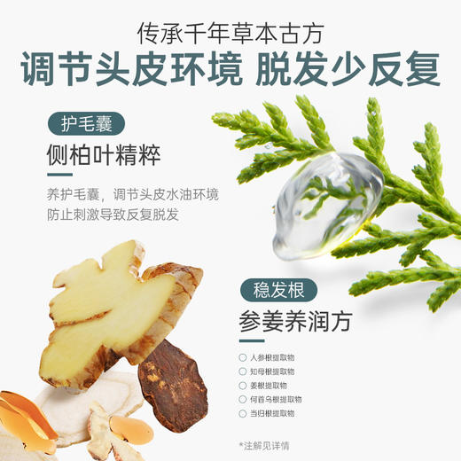 【防脱固发】专研特证防脱 4周起效 12周丰盈发量 丰盈防脱固发洗发露套装 商品图4