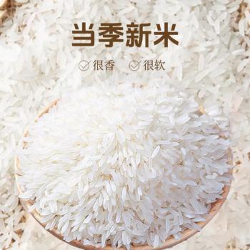 金优 几里田广西长粒香5kg 米龙须香米10斤 真空源头直发 当季新米 /粮油调味 /米 /丝苗米 商品图0