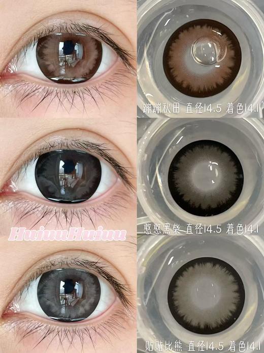 【半年抛大直径】AROMI-憨憨黑柴/贴贴比熊/蹦蹦秋田-14.5mm【半年抛 0-800度 含525/575】 商品图0