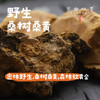 西藏野生桑树桑黄（成都仓库-顺丰快递） ｜ 80g/瓶，来自西藏林芝，生产者：当地藏民【原乡自采】 商品缩略图0
