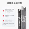 鱼跃（Yuwell）580/590血糖仪家用自动免调码金榜【无仪器+100试纸+100采血针】 商品缩略图6