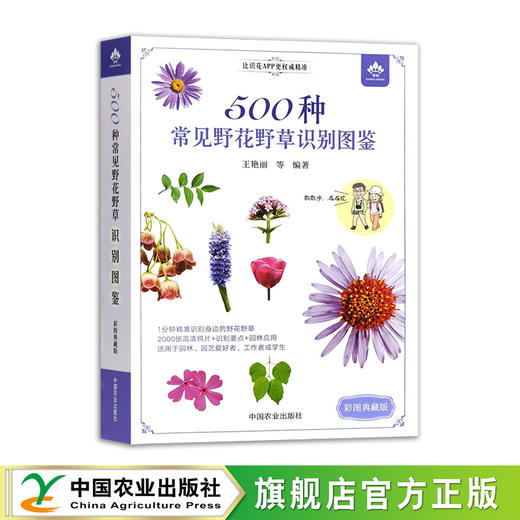 500种常见野花野草识别图鉴（彩图典藏版） 商品图4