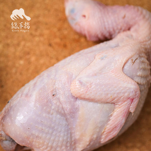 生态鹌鹑| 绿家自产* Eco- quail  | Self-production 商品图5