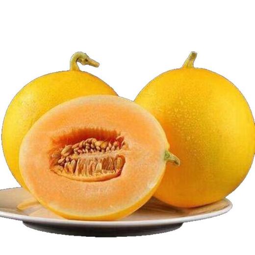 【香甜多汁❗️西安黄河蜜瓜】夏日热浪下的晶莹果实，甜到心坎的蜜瓜，带给你的味觉享受，黄皮甜瓜，当季新鲜水果网纹瓜现摘现发L 商品图4