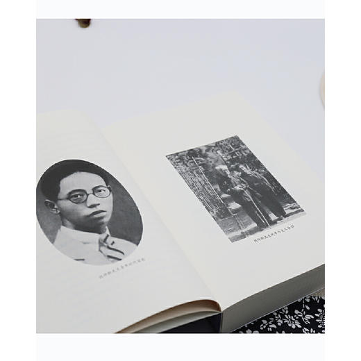 诗坛点将录丨中国诗词大会学术顾问叶嘉莹先生主编 名家谈诗词 商品图4