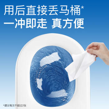 三仕达 马桶杀菌湿巾50片*6包 99.9%杀菌便圈清洁洁厕湿巾 可冲马桶湿巾 商品图3