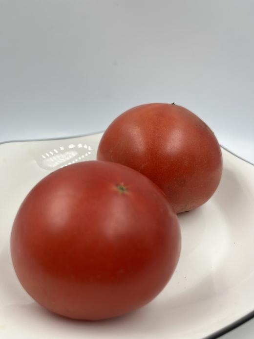 朴愿甄选   普罗旺斯西红柿 500克 商品图0