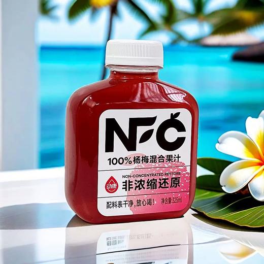 NFC动康100%杨梅汁325ml/325ml*6瓶 商品图0