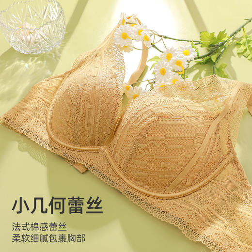 熳洁儿 小胸聚拢内衣几何蕾丝防下垂内衣女无钢圈文胸22251551 商品图4