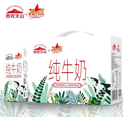 【疆品南下】西牧天山丨纯牛奶 200ml*10盒 商品图0
